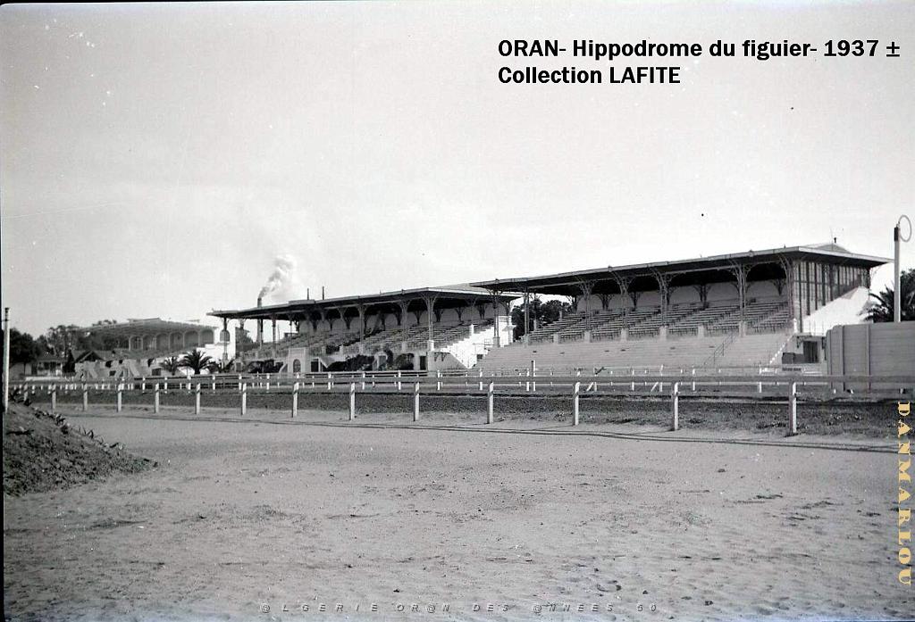ORAN 1937 HYPPODROME DU FIGIER    (4).jpg